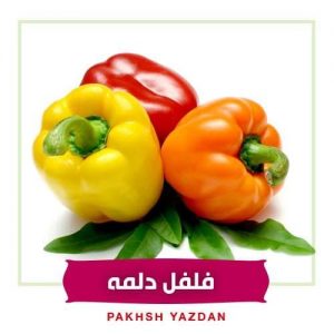 فلفل دلمه