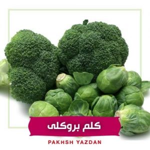 کلم بروکلی