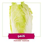 کاهو