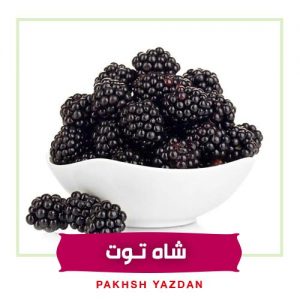 خرید عمده شاه توت