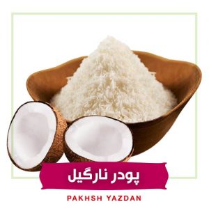 خرید عمده پودر نارگیل